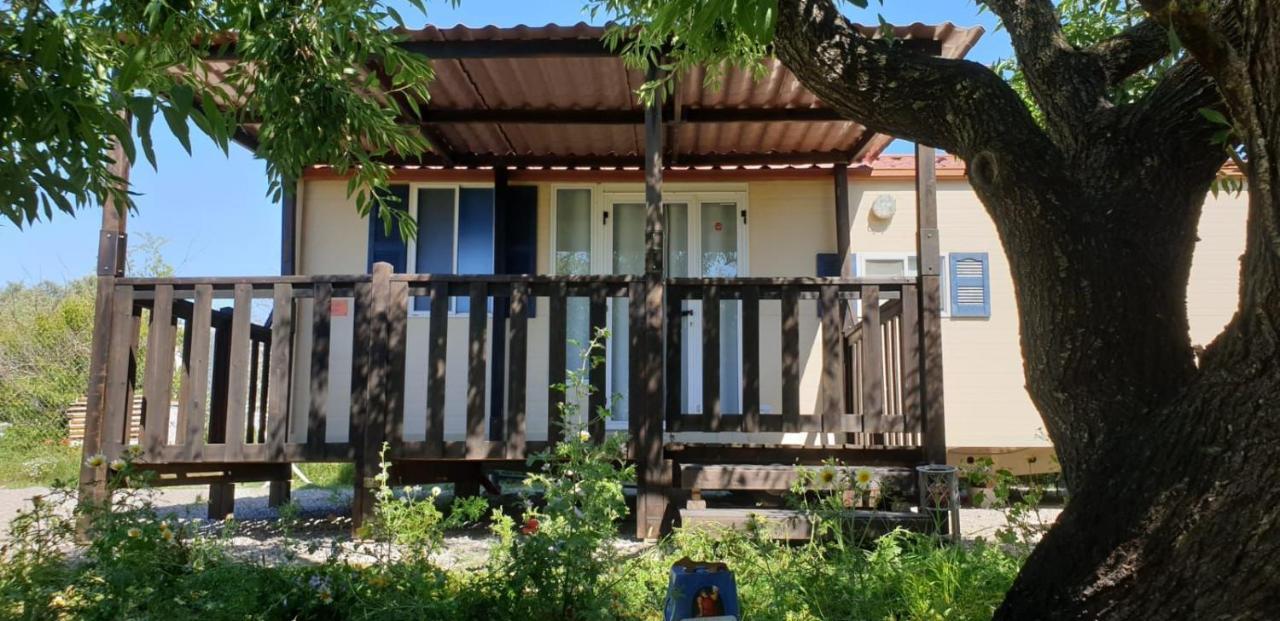 The Farm Tiny House - Tiny Casa Hotell Chiclana de la Frontera Eksteriør bilde